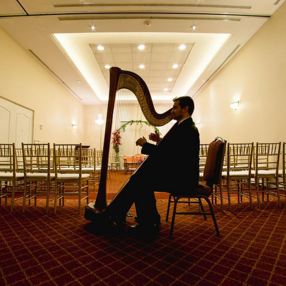 Safi Royal Luxury Valle San Pedro Garza Garcia Exterior foto Harpist at a wedding